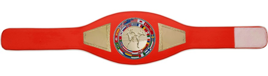 THAI BOXING CHAMPIONSHIP BELT-PROFLAG2/FLAG/G/TBOG - VARIETY OF COLOURS AVAILABLE THAI BOXING CHAMPIONSHIP BELT-PROFLAG2/FLAG/G/TBOG - VARIETY OF COLOURS AVAILABLE